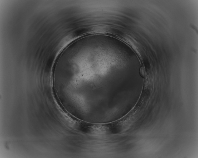 X0000095670795200801221203