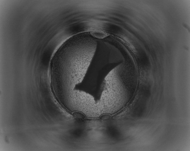 X0000095670796200801221203