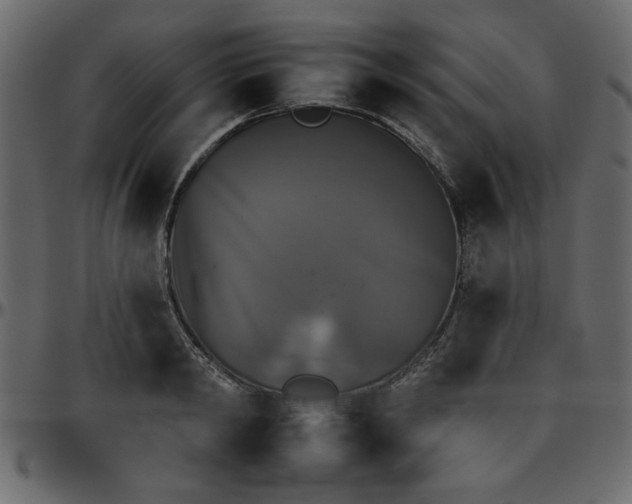 X0000095670798200801221203