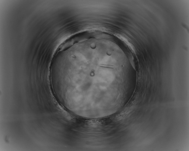 X0000095670799200801221203