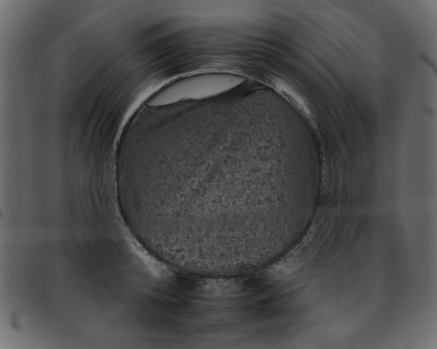 X0000095670800200801221203