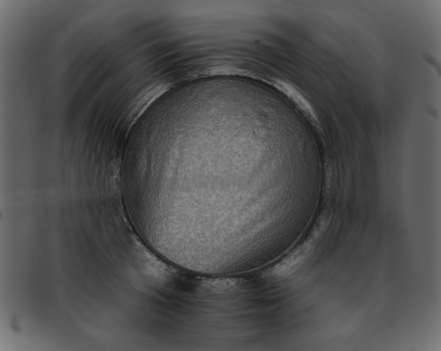 X0000095670801200801221203