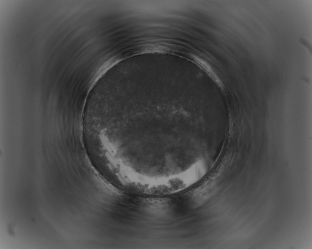 X0000095670802200801221203