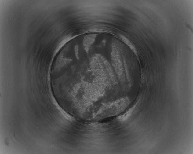 X0000095670803200801221203