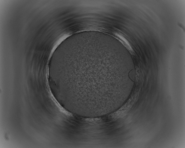 X0000095670804200801221203