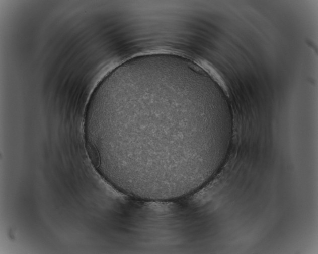 X0000095670805200801221203