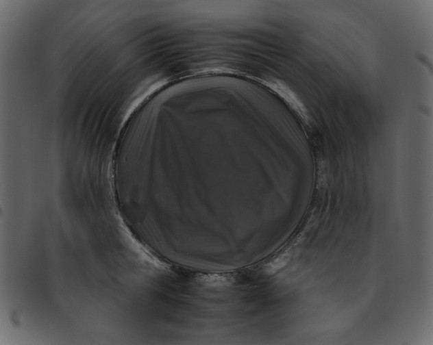 X0000095670806200801221203