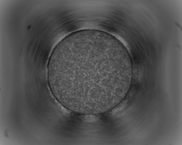 X0000095670807200801221203