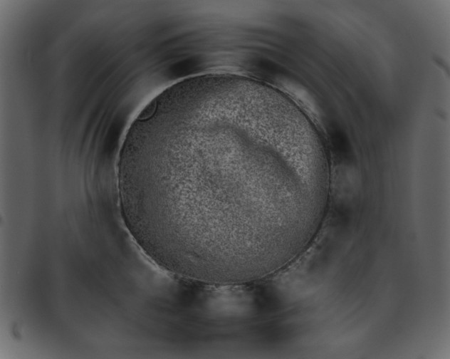 X0000095670808200801221203