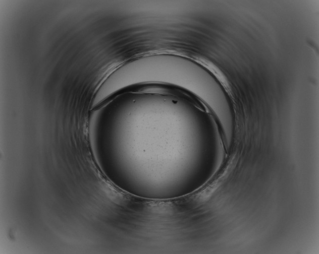 X0000095670809200801221203