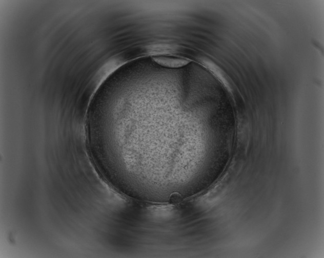 X0000095670810200801221203