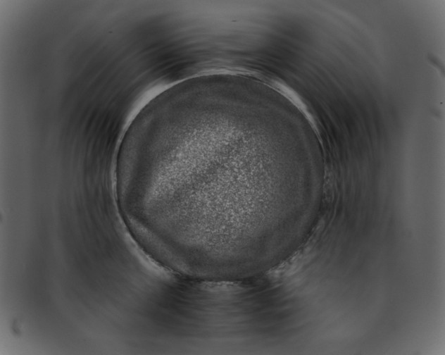 X0000095670811200801221203