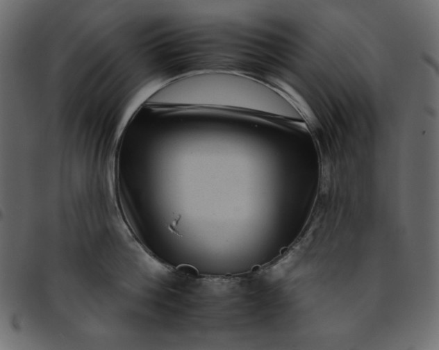 X0000095670812200801221203