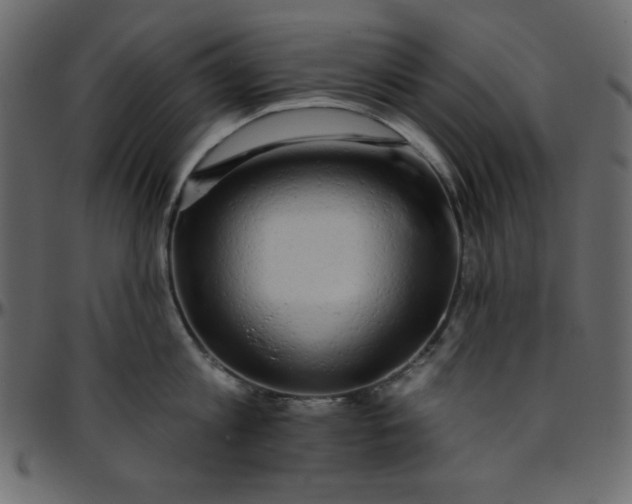 X0000095670813200801221203