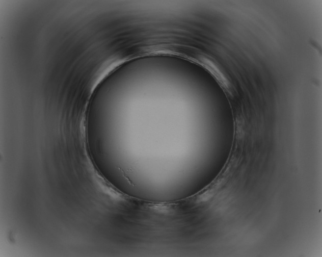 X0000095670814200801221203