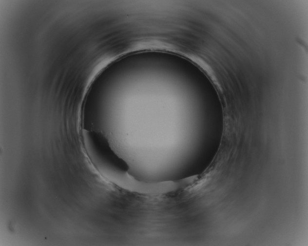 X0000095670815200801221203