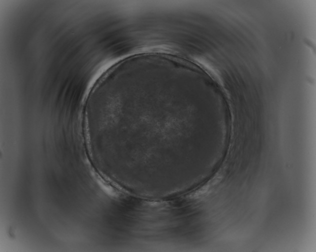 X0000095670816200801221203