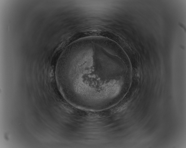 X0000095670818200801221202