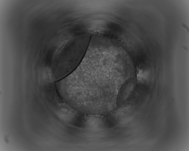 X0000095670819200801221202