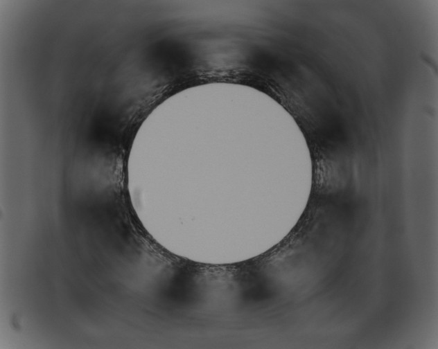 X0000095670820200801221202