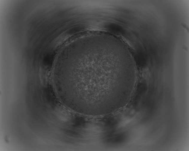 X0000095670821200801221202