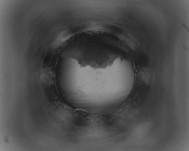 X0000095670822200801221202