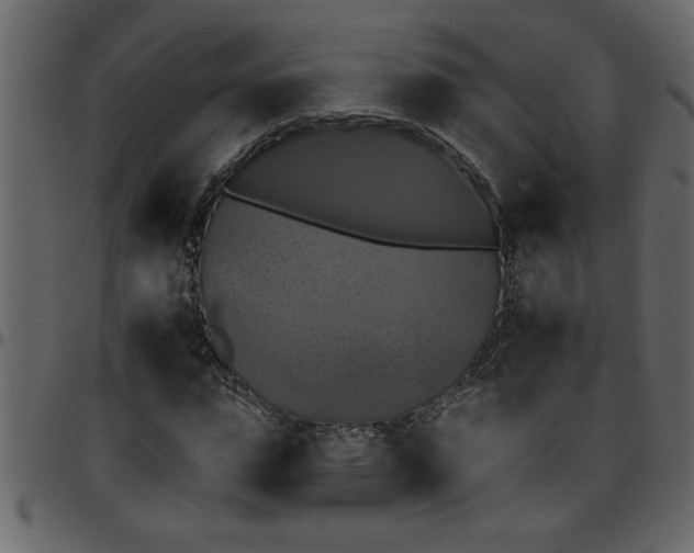 X0000095670823200801221202