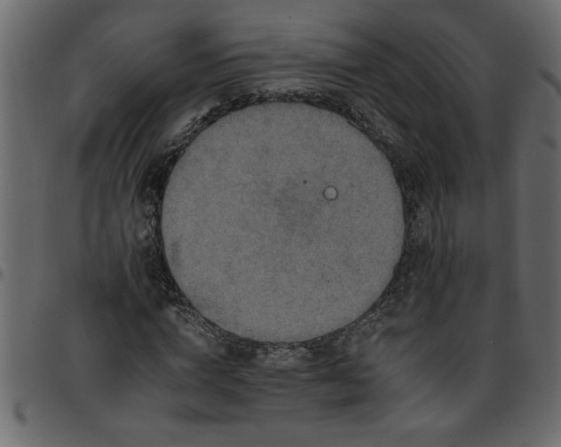 X0000095670824200801221202