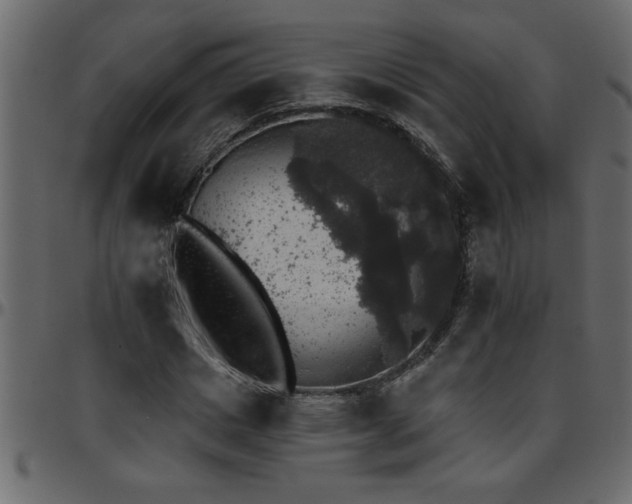 X0000095670825200801221202