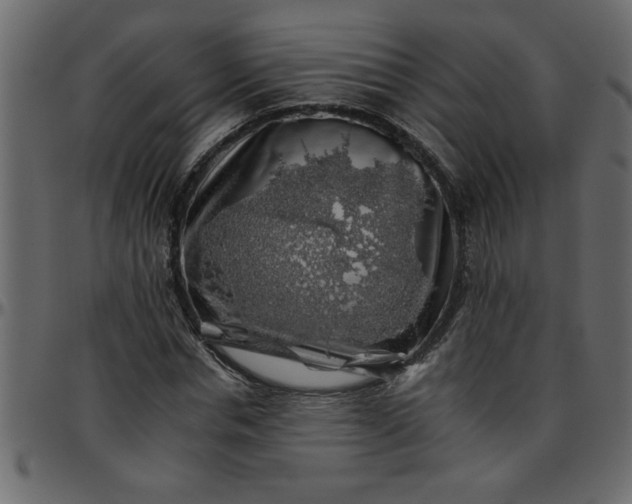 X0000095670826200801221202