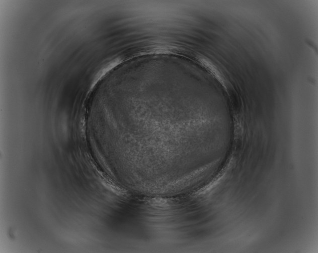 X0000095670827200801221202