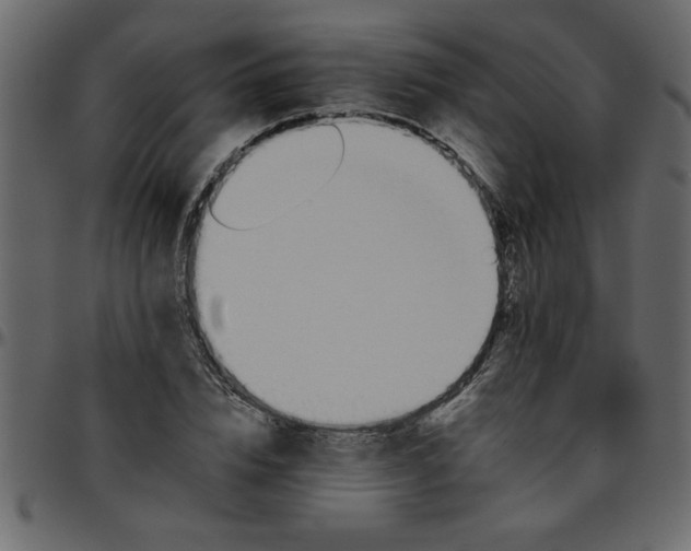 X0000095670832200801221202