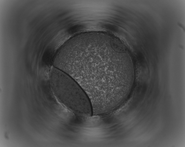 X0000095670833200801221202