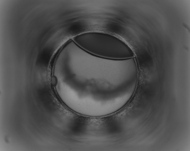 X0000095670835200801221202