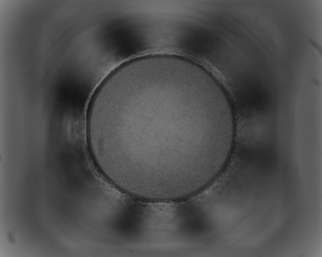 X0000095670836200801221202