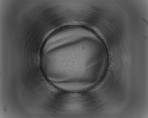 X0000095670837200801221202