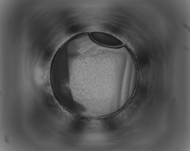 X0000095670839200801221202