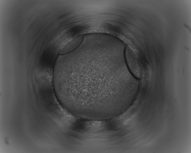 X0000095670841200801221202