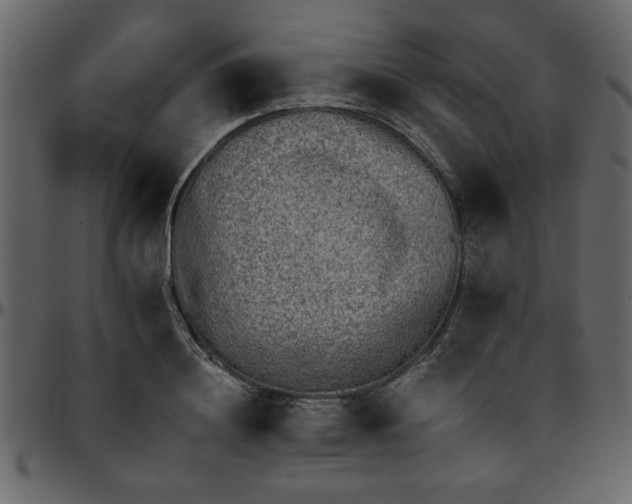 X0000095670844200801221202