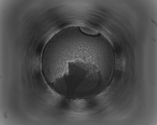 X0000095670845200801221202