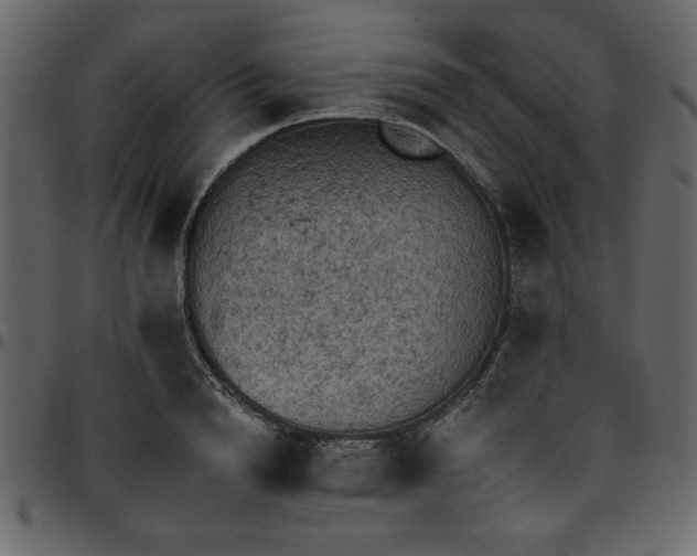 X0000095670846200801221203