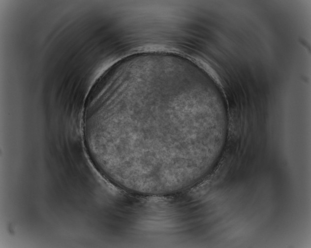 X0000095670847200801221203