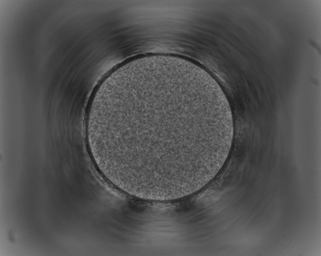 X0000095670848200801221203