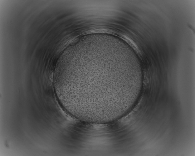 X0000095670849200801221203