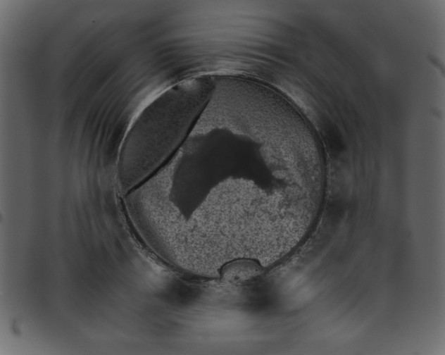 X0000095670850200801221203