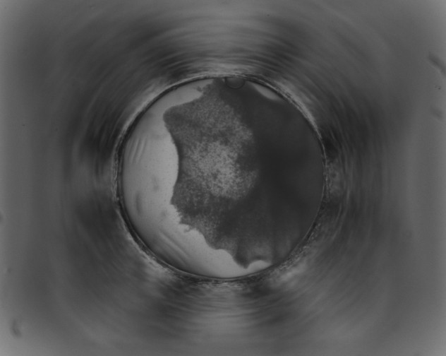 X0000095670851200801221203