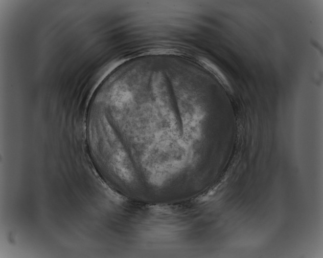 X0000095670852200801221203