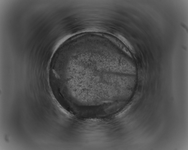 X0000095670854200801221203