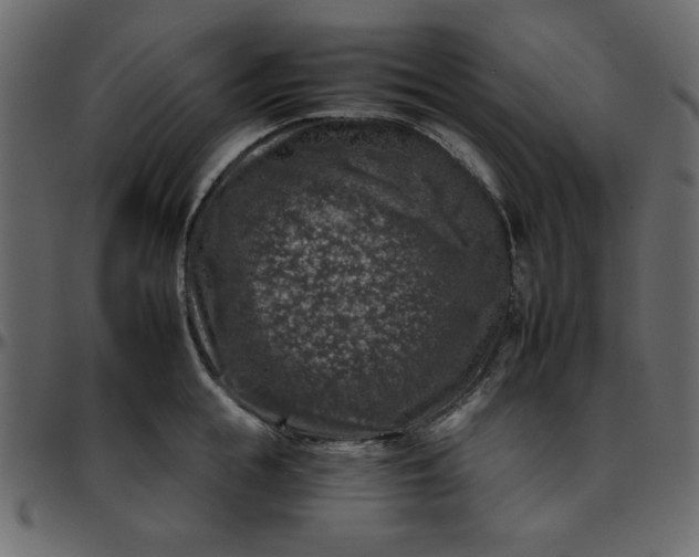 X0000095670855200801221203