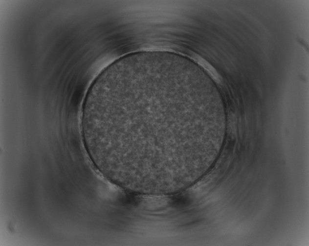 X0000095670856200801221203